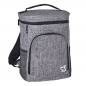 Cooler Backpack Polyester Assorted Camping and Beach